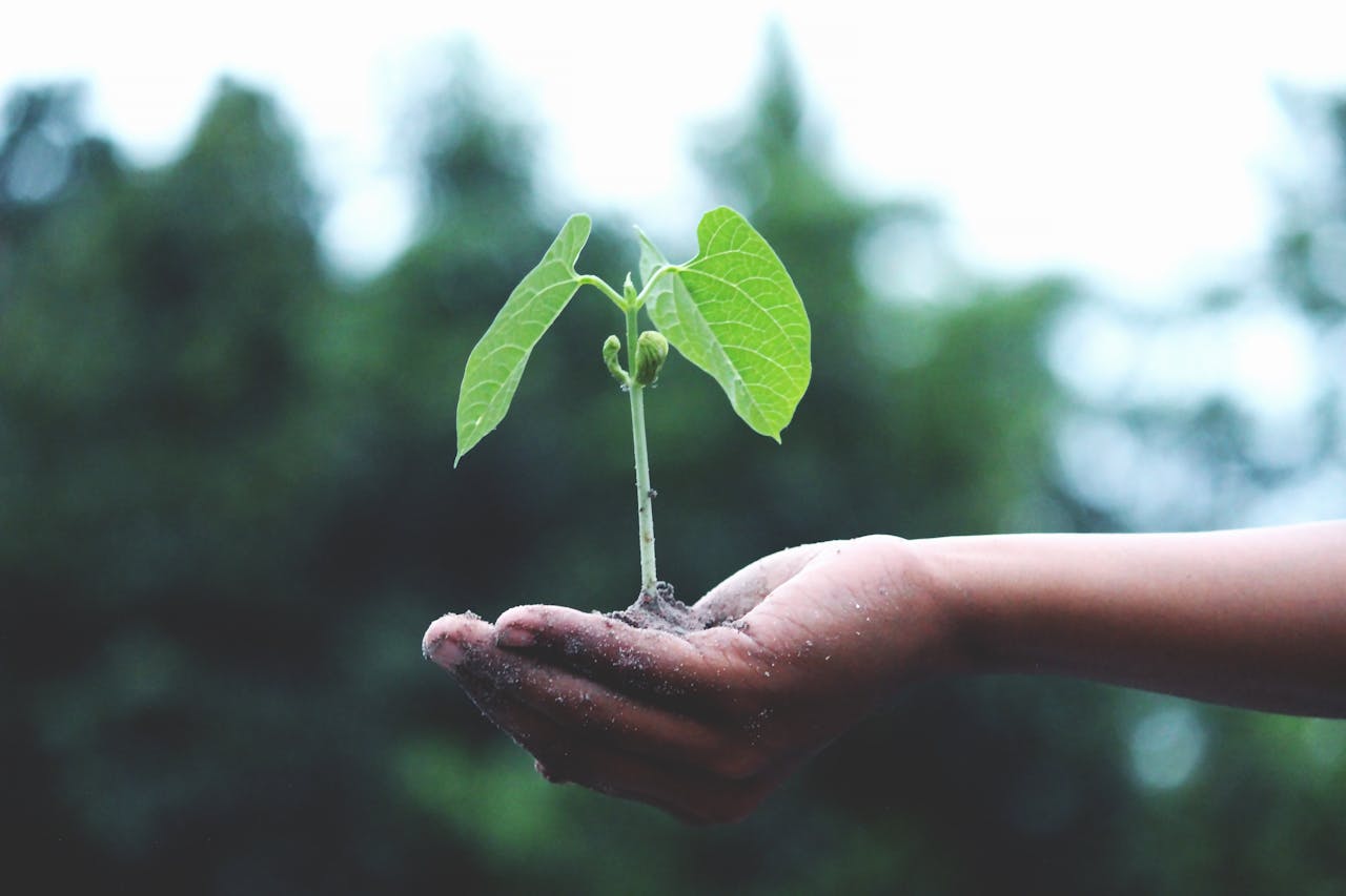 Encourages Personal Growth