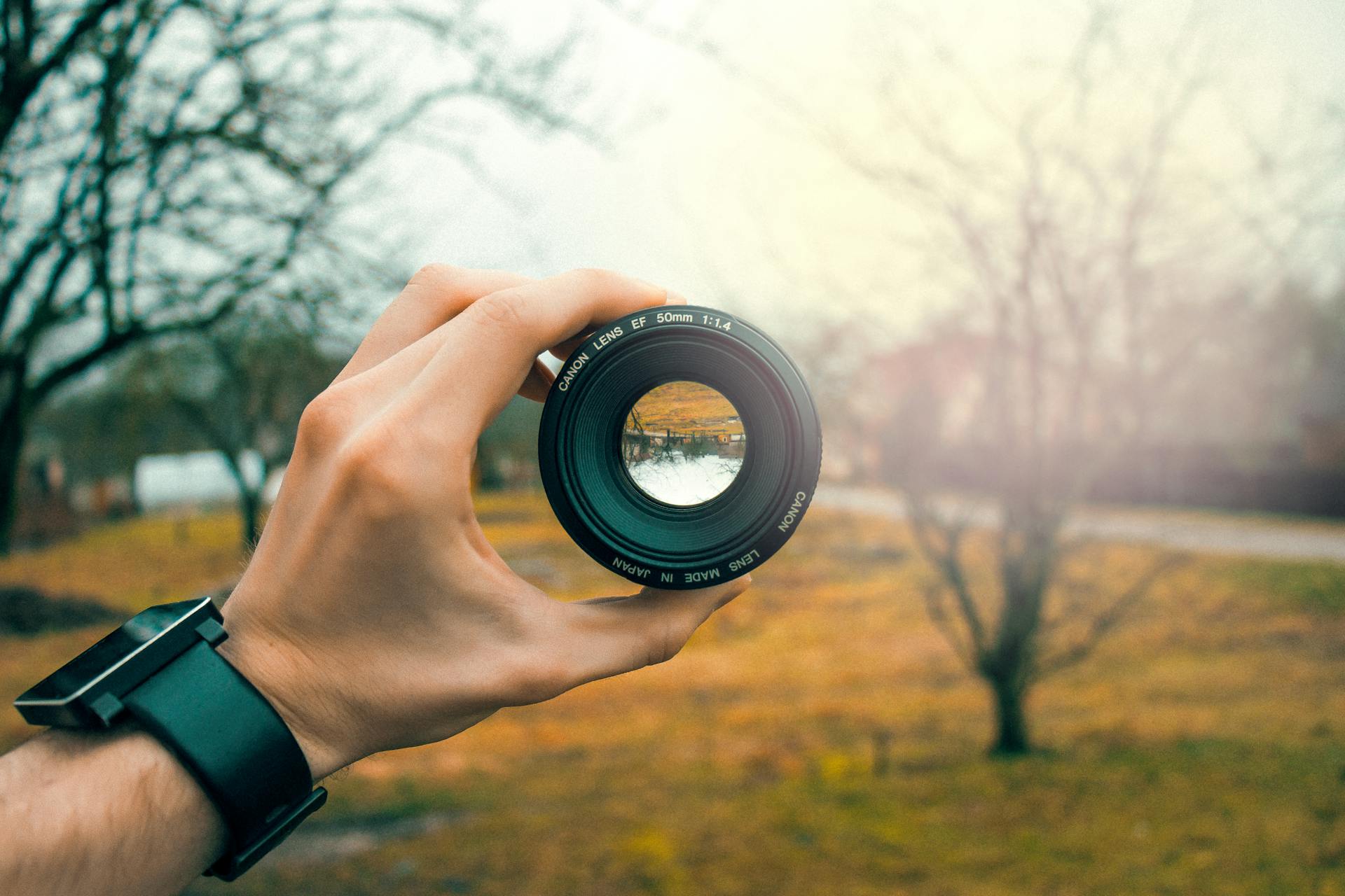 Provides Direction and Focus